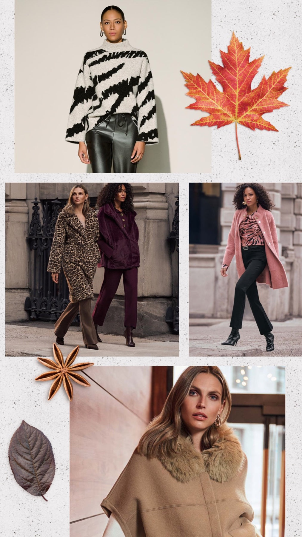 Fall women’s coats, knitwear and city looks
